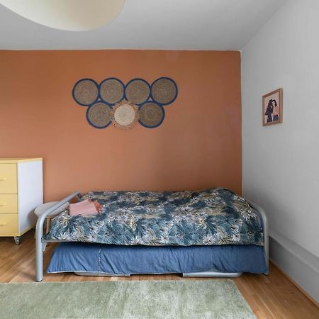 ⟬Cosy Blum 63⟭ Charmant Et Accueillant ⁕Mansarde⁕ Clermont-Ferrand Buitenkant foto